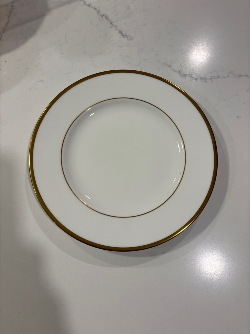 Set of 12 Classic White Dinner Plate with Gold Rim